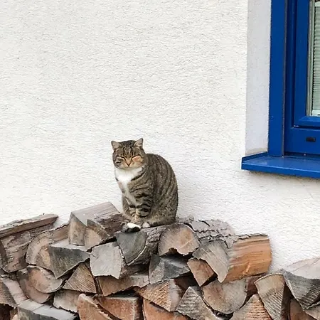Haus Sonnenweg Villa Mariapfarr Buitenkant foto