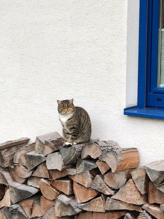 Haus Sonnenweg * Mariapfarr